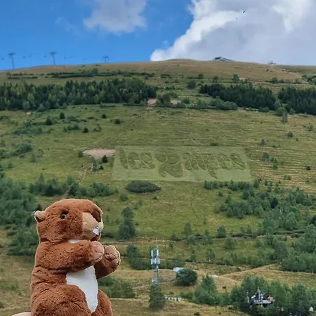 Апартаменты Pres Des Pistes Le Refuge Des Marmottes Ле дез Альп