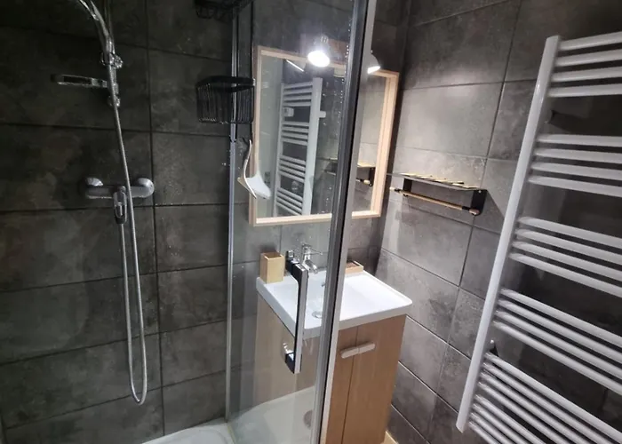 Pres Des Pistes Le Refuge Des Marmottes Ле дез Альп