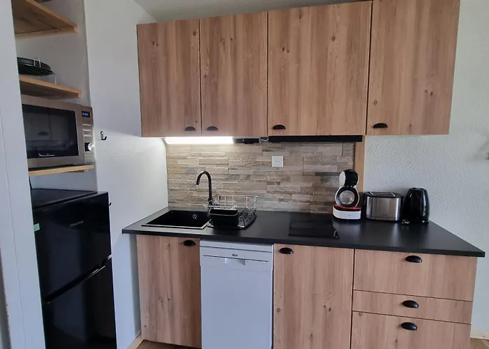 Pres Des Pistes Le Refuge Des Marmottes Λε Ντεζ Αλπ