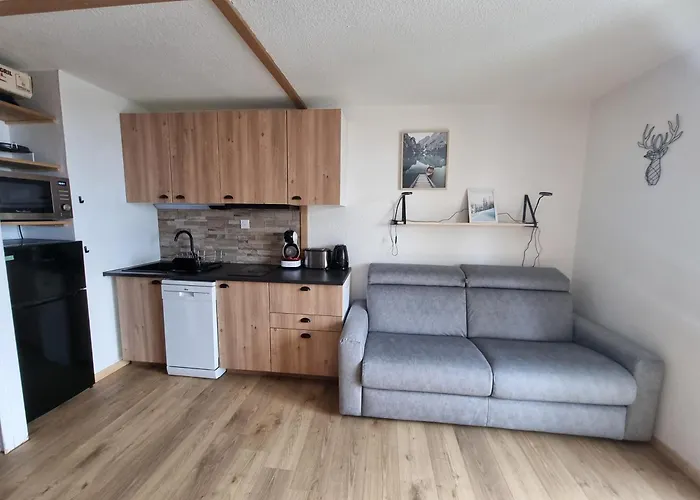 Pres Des Pistes Le Refuge Des Marmottes Λε Ντεζ Αλπ