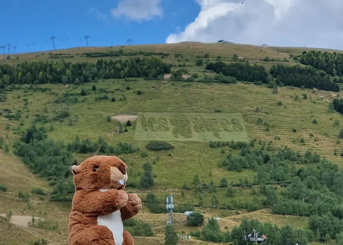 Διαμέρισμα Pres Des Pistes Le Refuge Des Marmottes Λε Ντεζ Αλπ