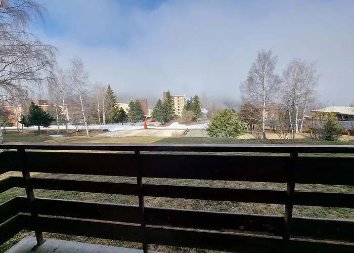 Pres Des Pistes Le Refuge Des Marmottes Διαμέρισμα Λε Ντεζ Αλπ